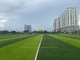 Altezza artificiale dell'erba 45m del campo di football americano del diamante 100 fornitore