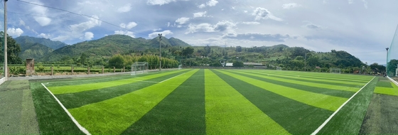 erba artificiale di calcio di multi scopo di 60mm per il campo di calcio dell'interno all'aperto fornitore