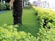Altezza riciclabile d'abbellimento verde dell'erba artificiale 40mm di salute dell'hotel fornitore