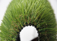 Rivestimento all'aperto di sguardo reale professionale del lattice del tappeto dell'erba artificiale di 30MM fornitore
