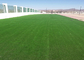 Altezza sintetica del tappeto erboso 35MM dell'erba artificiale dell'interno su ordinazione professionale fornitore