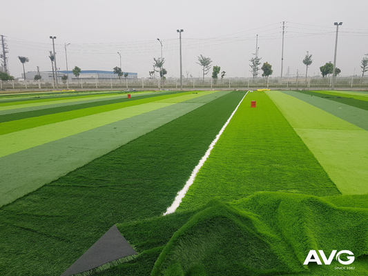 L'erba artificiale tappezza gli sport falsi dell'erba che pavimentano 55mm per la corte di calcio fornitore