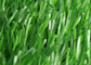 Rispettoso dell'ambiente Anti-UV d'abbellimento delle stuoie artificiali dell'erba del metallo libero fornitore