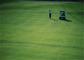 Verdi mettenti di alto di resistenza all'abrasione di golf dell'erba del tappeto golf all'aperto artificiale della casa fornitore