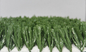 Rivestimento falso del lattice dei prati inglesi dell'erba del tappeto erboso artificiale di calcio di altezza 50MM del mucchio fornitore