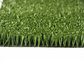 Pp che appoggiano il campo da giuoco del campo/il tappeto erboso sintetico ad alta densità erba sintetica di calcio fornitore