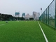 Sport artificiali dell'erba di calcio professionistico che pavimentano per il calcio fornitore