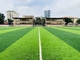 sport artificiali dell'erba di 55mm che pavimentano per la terra di calcio di calcio fornitore