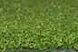 Tappeto erboso di golf tappezzare erba artificiale 13mm per l'erba artificiale di golf dell'erba di multi uso fornitore