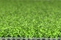 Tappeto erboso di golf tappezzare erba artificiale 13mm per l'erba artificiale di golf dell'erba di multi uso fornitore