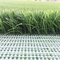 Popolari tessuti erba l'erba artificiale di calcio il tappeto erboso di calcio che tappezza l'erba sintetica fornitore