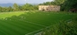 Tappeto erboso artificiale dell'erba dell'erba di calcio per il campo di football americano 40mm 50mm 60mm fornitore