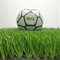 Tappeto erboso sintetico di AVG per il prato inglese artificiale dell'erba di solidità del tempo dell'erba di calcio fornitore