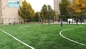 Tappeto erboso artificiale 40-60mm dell'erba dell'erba di calcio di calcio artificiale di sport fornitore