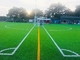 Pavimento artificiale 40-60mm di sport dell'erba del tappeto erboso di calcio dell'erba di calcio fornitore