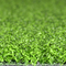 Verde mettente 10-15mm dell'erba artificiale all'aperto e dell'interno di golf fornitore