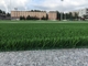 Il tappeto erboso tessuto di calcio della protezione erba Aritificial per il campo di football americano fornitore