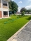 La C modella i pp ricci fa il giardinaggio erba artificiale per altezza del mucchio di aree di svago 50mm fornitore