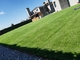 tappeto verde all'aperto dell'erba di 20-50mm del pavimento del prato inglese artificiale di Fakegrass fornitore