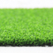 Aria aperta artificiale falsa Mat Turf dell'erba della corte di paddle tennis fornitore