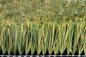 IL CALCIO di CALCIO erba l'erba artificiale la FIFA di 60mm certificata fornitore