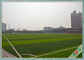 Tappeto artificiale ad alta densità dell'erba campo di football americano dell'interno/all'aperto di calcio fornitore