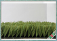 Verde artificiale del campo di erba del campo di calcio + monofilamento verde mela del PE fornitore