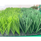 Struttura sintetica del monofilamento dell'erba di calcio della protezione della garza dei pp fornitore