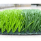 Lo spessore artificiale 240μm del filato del tappeto erboso di calcio di rettitudine di resistenza all'usura fornitore