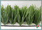 Di Olive Shape Football Field Soccer anti 2/4/5m larghezza UV del rotolo dell'erba artificiale fornitore