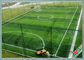 Tappeto erboso artificiale di calcio facile di manutenzione, campi da calcio artificiali dell'erba fornitore
