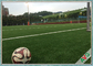 Il tappeto erboso artificiale di calcio professionistico 12 anni ha garantito l'erba artificiale di calcio fornitore