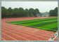 Nessun'erba artificiale 13000 Dtex di calcio del tessuto dei metalli pesanti pp per Futsal fornitore