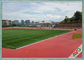 Mini Football Field naturale resistente UV/erba artificiale del campo di calcio fornitore