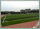 50 SGS di millimetro hanno approvato l'erba artificiale del campo di football americano/tappeto erboso sintetico per il campo di calcio fornitore