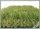 Sempreverde naturale di lunga vita di aspetto di manutenzione dell'erba artificiale libera dell'animale domestico fornitore