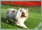 Il tappeto erboso artificiale/sintetico dell'animale domestico resistente UV del cane erba l'installazione amichevole di Eco fornitore
