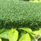 erba artificiale di golf naturale di altezza del mucchio di 10mm/verde mettente dell'interno di golf fornitore