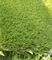 Erba artificiale all'aperto di alta resistenza agli'agenti atmosferici/tappeto sintetico dell'erba fornitore